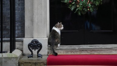 Кои са най-влиятелните животни на планетата за 2025 г.?