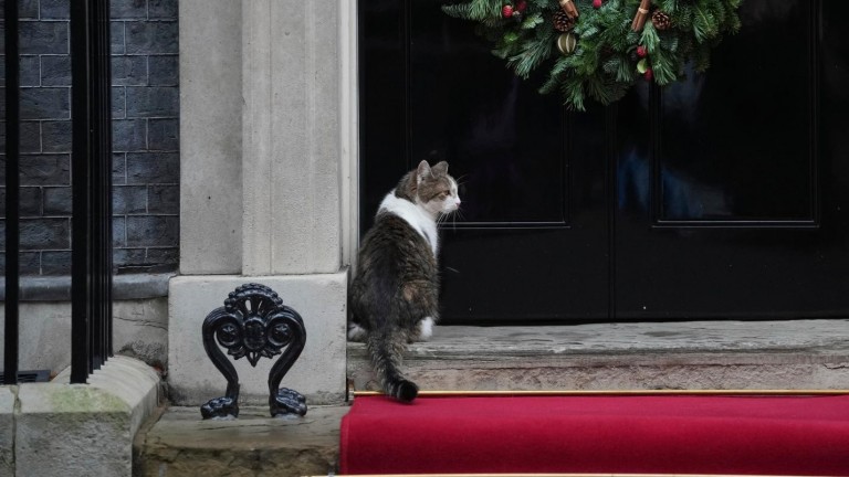 Кои са най-влиятелните животни на планетата за 2025 г.?