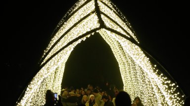 Сан Франциско грее в  цветове и над милион блестящи светлини (снимки)