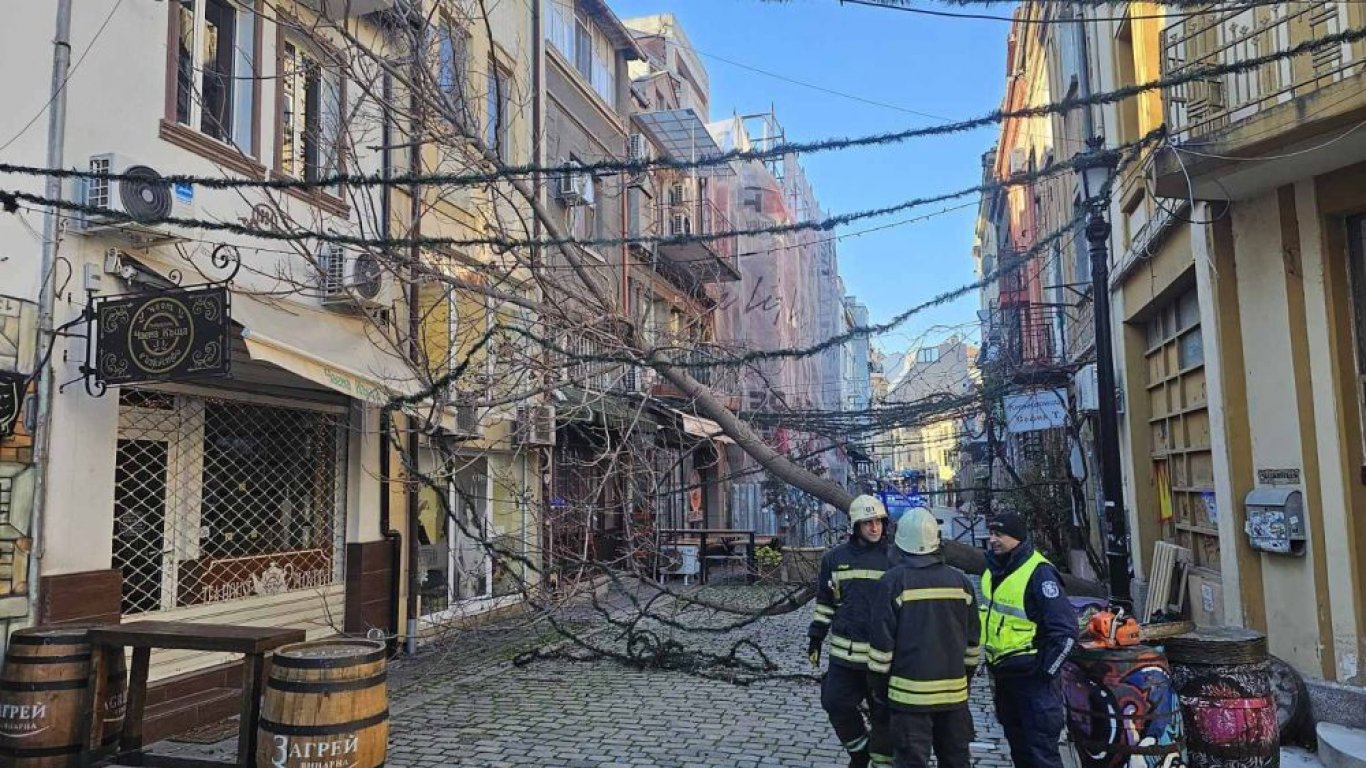 Десетки сигнали за паднали дървета и клони на много места в страната (снимки, видео)