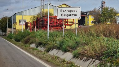 Мъж е задържан в Българово за убийство на куче