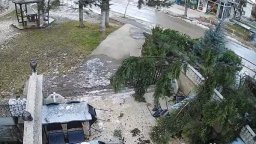 Буря, ураганен вятър и изпочупени прозорци във Враца, дърво се стовари върху заведение (видео)