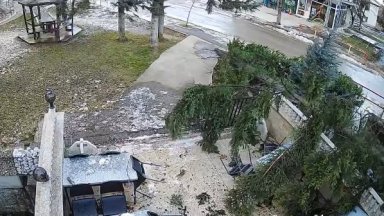 Буря, ураганен вятър и изпочупени прозорци във Враца, дърво се стовари върху заведение (видео)