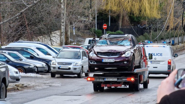 10 собственици има парцелът с падналото дърво, убило жена в столичния квартал "Бояна"