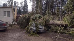 Дават по 1550 евро помощ на семейства, пострадали при ураганния вятър след 1 януари