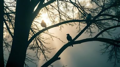 "Сфумато" кани актьори, сценографи и режисьори в ателие със заглавие "Въпреки сгъстяващия се мрак наоколо"