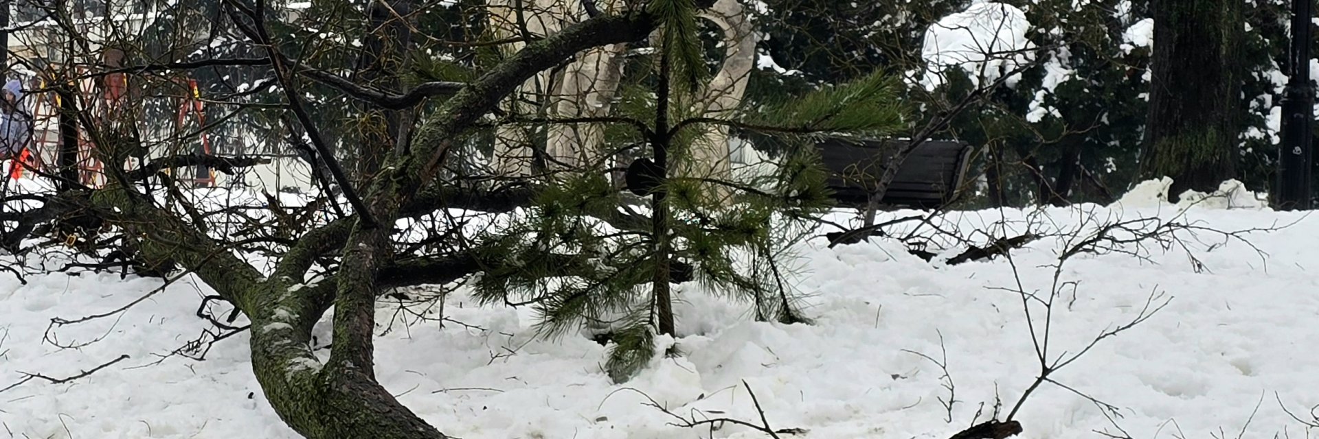 Хаос, леден дъжд, евакуация и хора без ток в Сърбия, има опасност река Лим да прелее (снимки)
