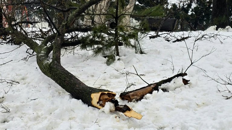 Хаос, леден дъжд, евакуация и хора без ток в Сърбия, има опасност река Лим да прелее (снимки)