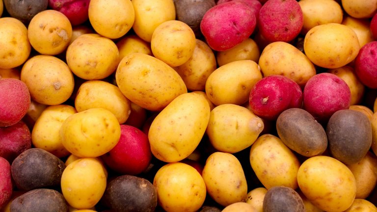 Негово Величество картофът