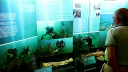 Подводната вкаменена гора в Созополския залив е световен феномен (снимик)
