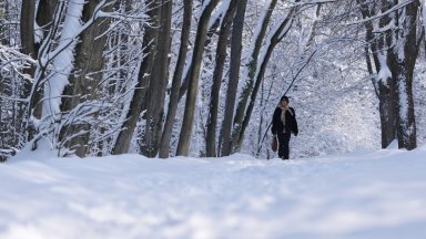 Зимата скова и съседите: Затрупани пътища в Сърбия, код "оранжево" в Румъния и Словения