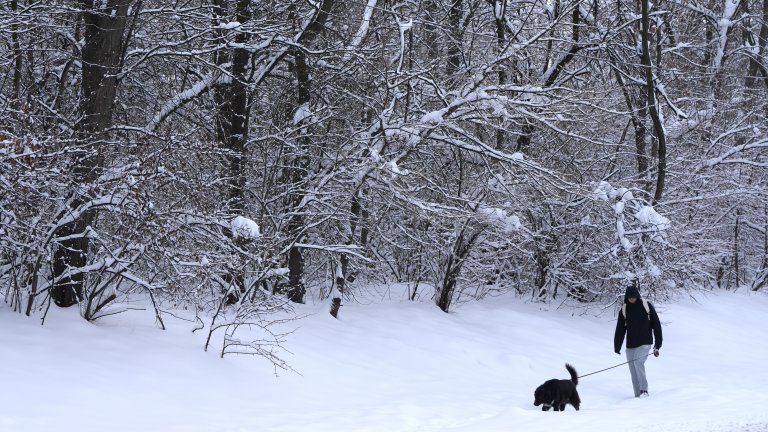 Нова порция сибирски студ идва към Румъния; зимата взе и първите си жертви