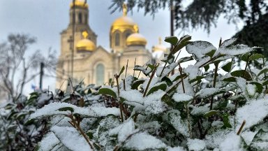 РЗИ-Варна предлага да бъде обявена грипна епидемия в областта от 14 януари