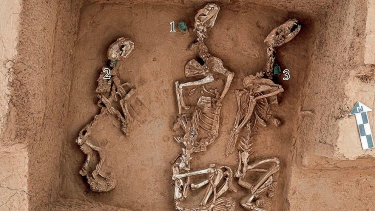 Археолози откриха следи от най-ранната менажерия с диви животни в Китай