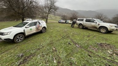 Откриха мъртви черни лешояди край Котел (снимки)