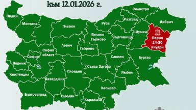 Първа област в страната обяви грипна епидемия - Варна е под карантина, затваря училищата