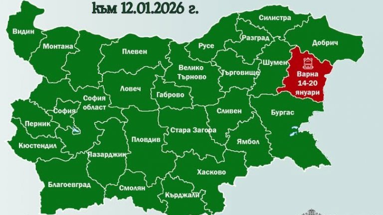 Първа област в страната обяви грипна епидемия - Варна е под карантина, затваря училищата