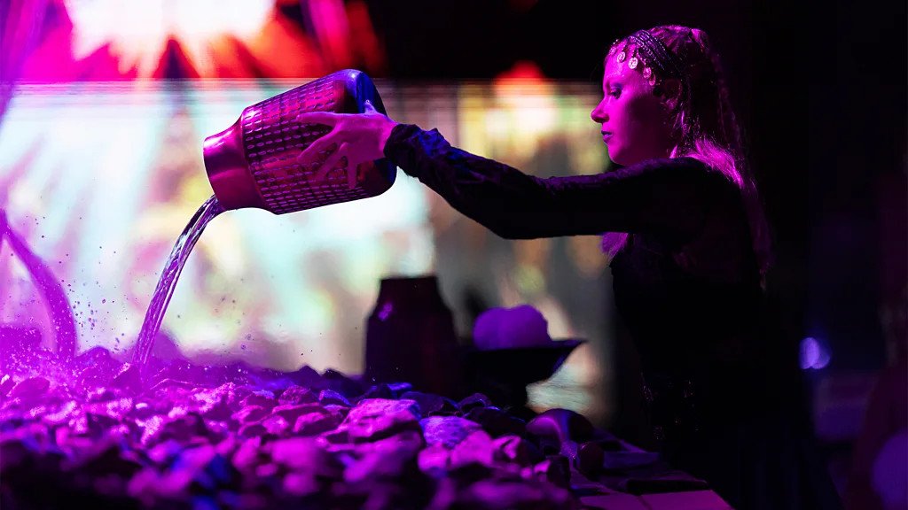 Шоуто на Сигрид Ван Рийсвейк