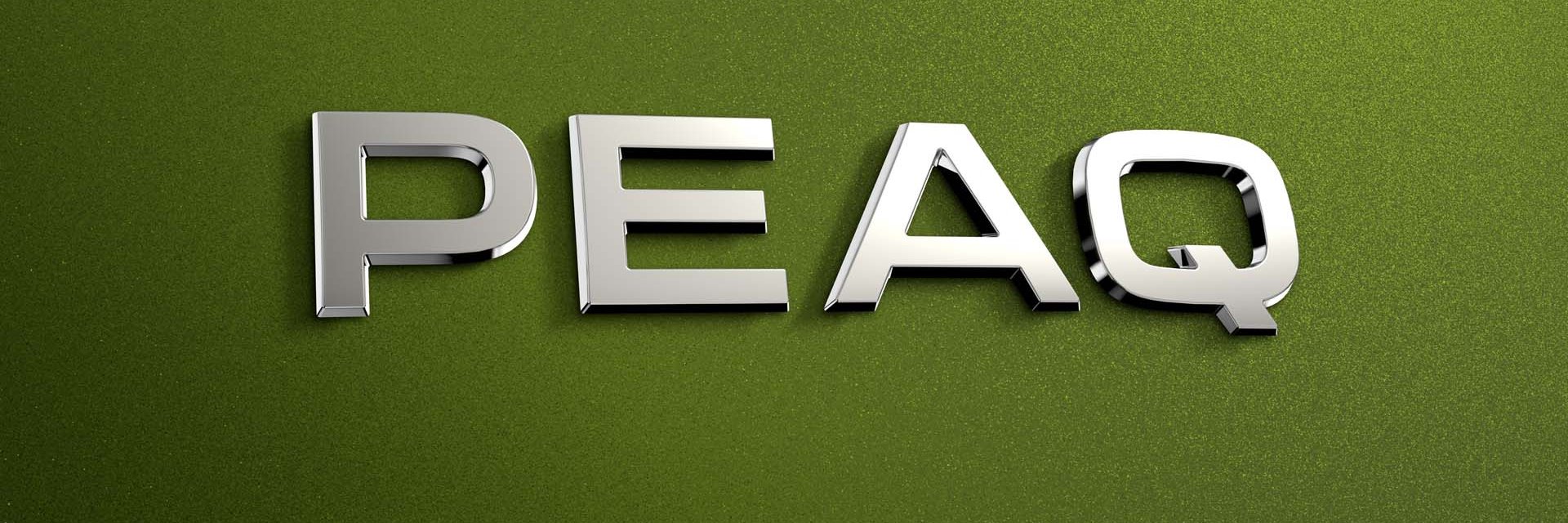 Новият 7-местен флагман на Skoda се казва Peaq