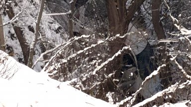 Патрулка с двама униформени падна в дере в Ягодинското ждрело