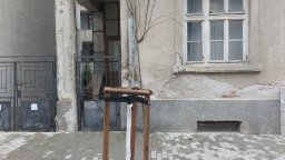 Вандали счупиха наскоро засадени дръвчета в центъра на Бургас (снимки)