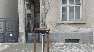 Вандали счупиха наскоро засадени дръвчета в центъра на Бургас (снимки)
