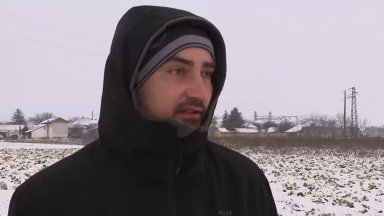 Земеделец от Кнежа заравя 50 тона зеле заради ниски изкупни цени