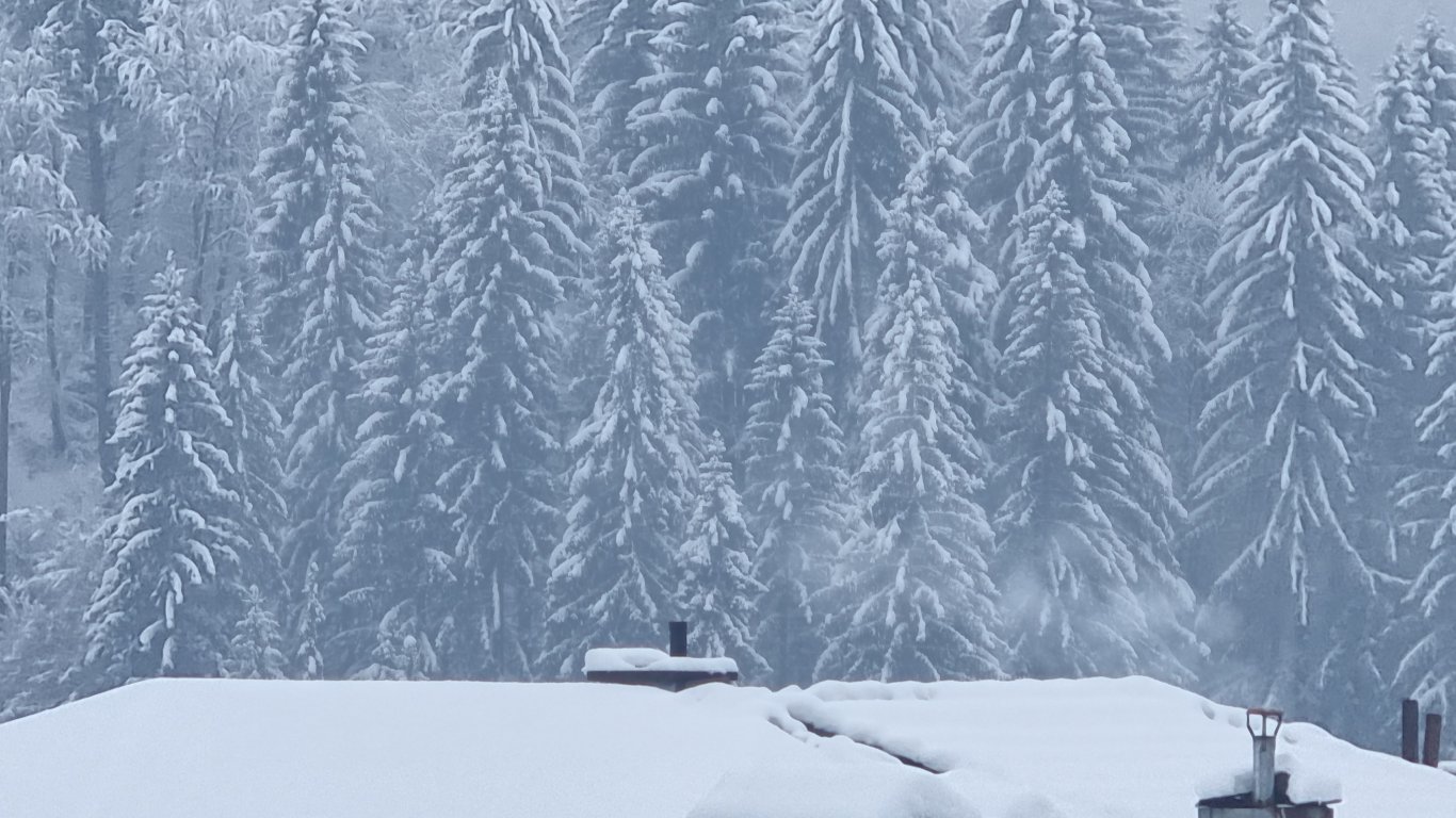 ПСС: Условията за туризъм в планините не са добри 