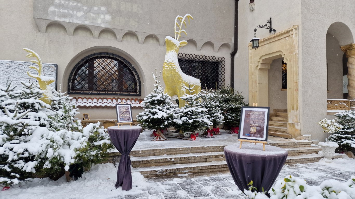 Пътуване в миналото в къщата на 36-я министър-председател на Румъния Георге Тътъреску