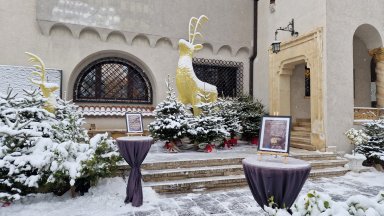 Пътуване в миналото в къщата на 36-я министър-председател на Румъния Георге Тътъреску