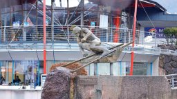 Тирол: зимната дестинация, която предлага всичко