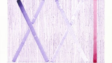 "Бавни куршуми" - Изложба живопис от Николай Петков 