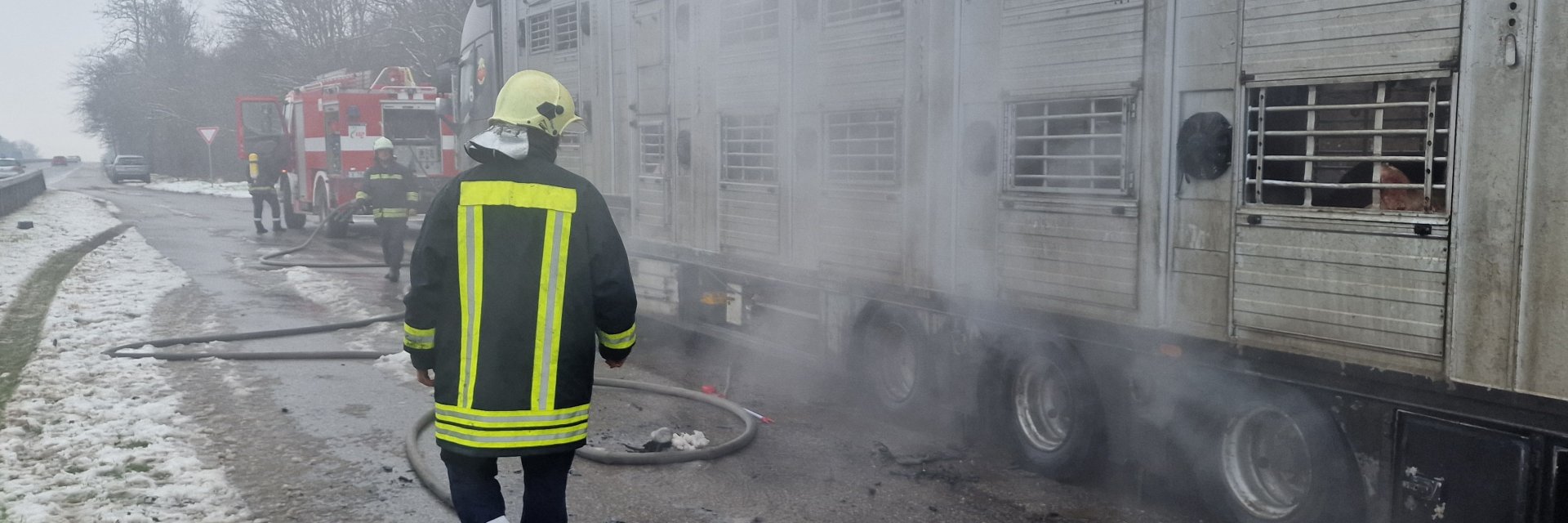 Камион със 178 живи прасета се запали на пътя край Димитровград (снимки)