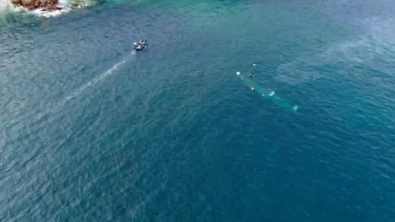 Европол: Внасят кокаин в Европа с въздушни и морски дронове и специални подводници