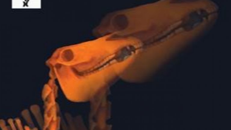 "ЕСХАТОН и Депото на материята" от Петра Димитрова