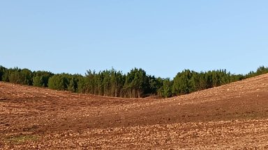 Съдът спря проект за фотоволтаична централа край Сухиндол