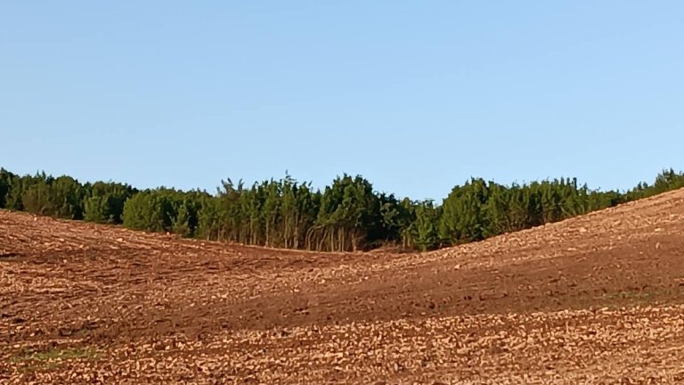 Съдът спря проект за фотоволтаична централа край Сухиндол