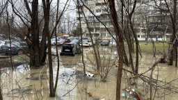 Теч на питейна вода превърна в езеро столичния жк "Лагера", наводни паркирани коли (снимки)