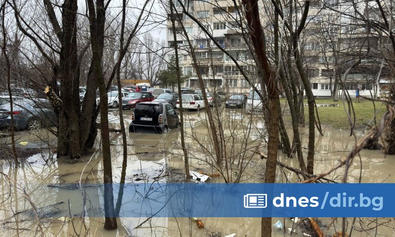 飲料水の漏洩で首都団地「ラゲラ」が湖となり、駐車中の車が浸水（写真）