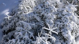 Прогноза за времето: Предимно облачно,  на отделни места в низините и котловините мъгливо