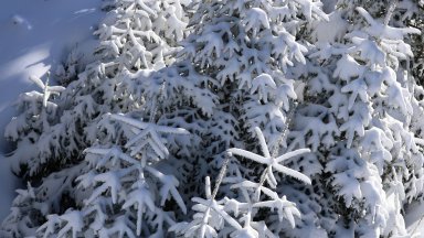 Прогноза за времето: Предимно облачно,  на отделни места в низините и котловините мъгливо