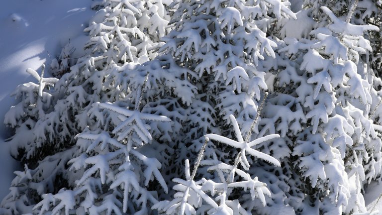 Прогноза за времето: Предимно облачно,  на отделни места в низините и котловините мъгливо