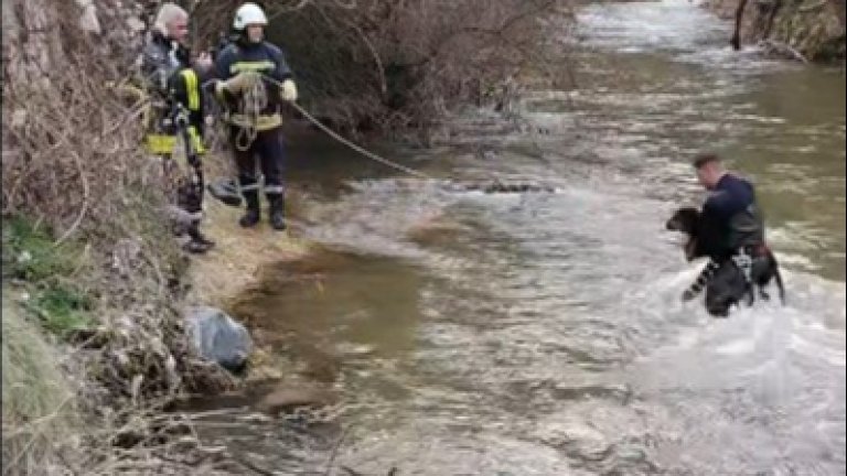Девински пожарникари спасиха бедстващо в буйна река ловно куче (видео)
