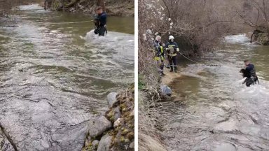 Девински пожарникари спасиха бедстващо в буйна река ловно куче (видео)