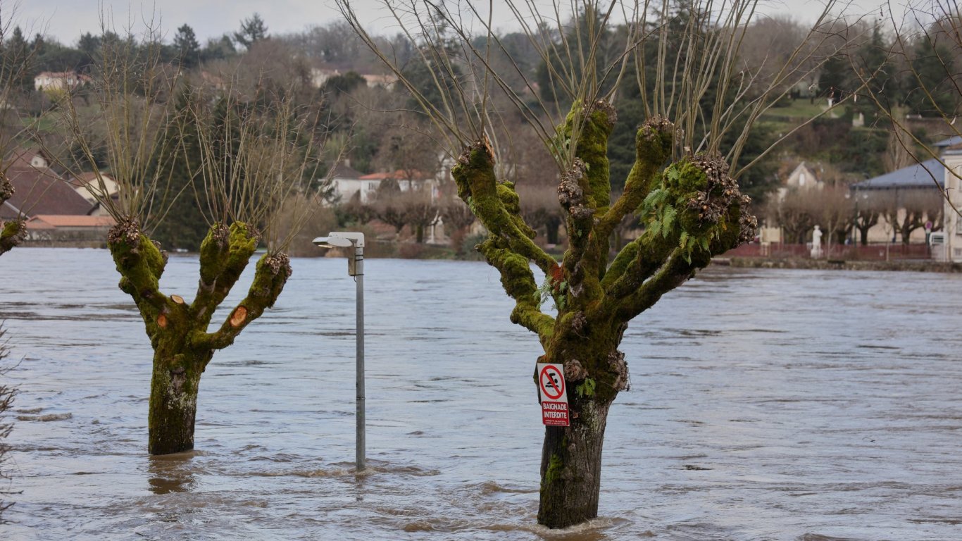 Бурни ветрове причиниха сериозни щети в Солун