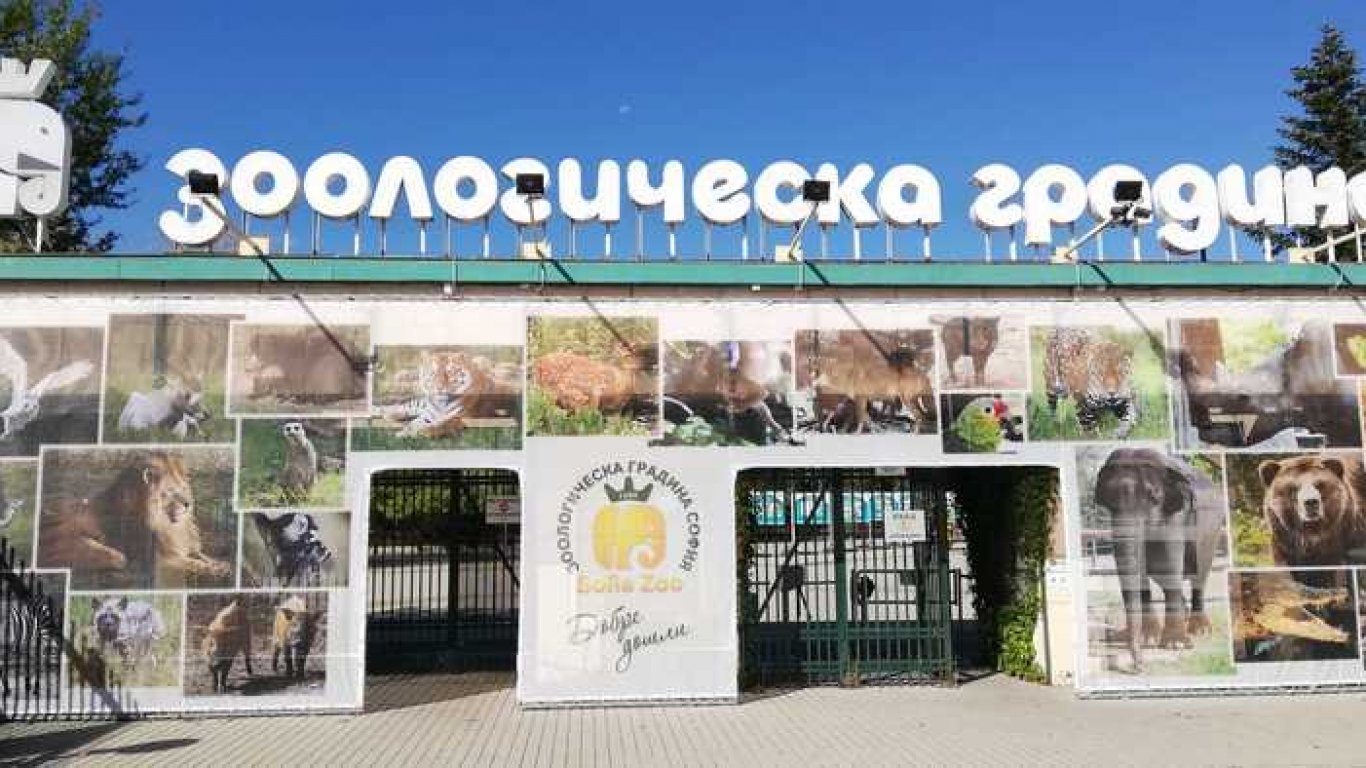 Авария затвори Западния вход на Зоопарка София