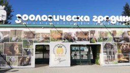 Авария затвори Западния вход на Зоопарка София