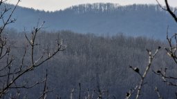 Прогноза за времето на НИМХ: нощни снеговалежи, виелици и поледици