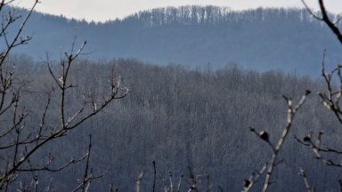 Прогноза за времето на НИМХ: нощни снеговалежи, виелици и поледици