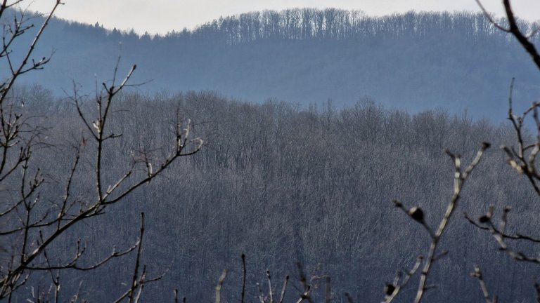Прогноза за времето на НИМХ: нощни снеговалежи, виелици и поледици